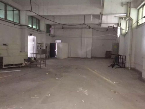 外資廠房驗廠檢測鑒定報告高效出具指南